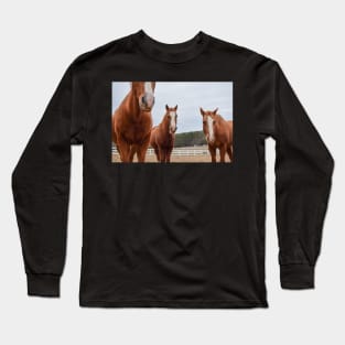 horses in pasture Long Sleeve T-Shirt